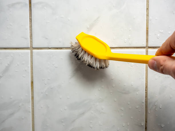 Best Fast Mold Removal  in Central Square, NY