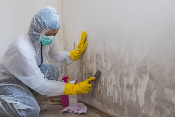 Best Residential Mold Removal  in Central Square, NY
