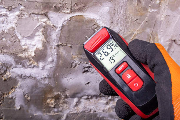 Certified Mold Removal in Central Square, NY