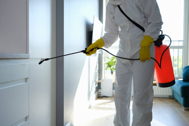Best Mold Testing  in Central Square, NY