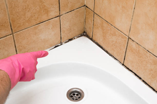 Best Mold Cleaning Services  in Central Square, NY